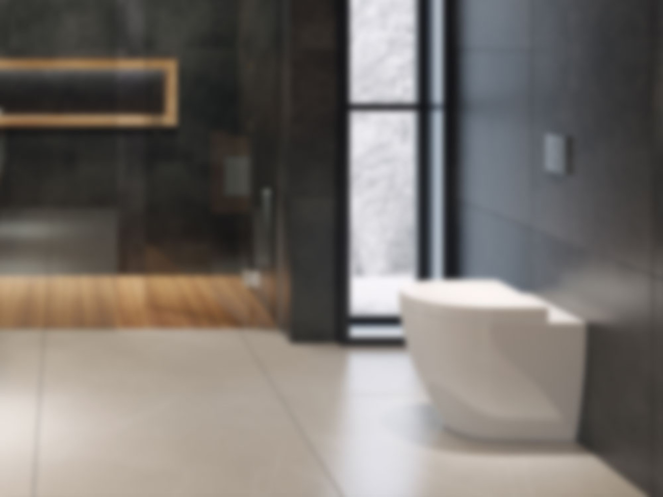 WC | Bidet | Urinal bei Elektro Ehrt GmbH in Lutherstadt Eisleben